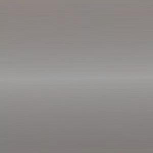Silver Mirror