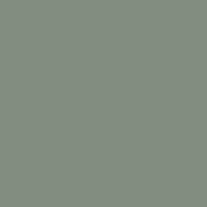 sage green swatch