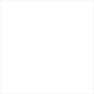white swatch